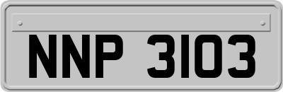 NNP3103