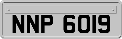 NNP6019