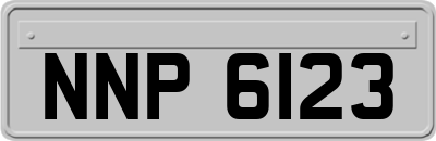 NNP6123