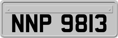 NNP9813