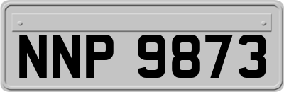 NNP9873