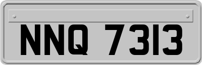 NNQ7313