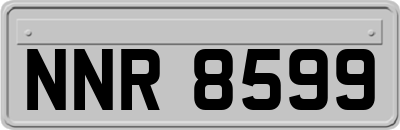 NNR8599
