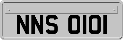 NNS0101
