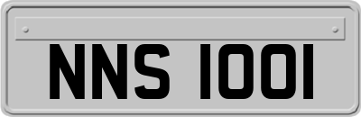 NNS1001