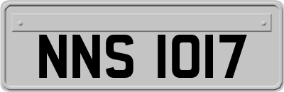 NNS1017