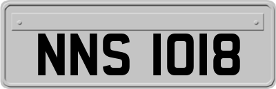 NNS1018