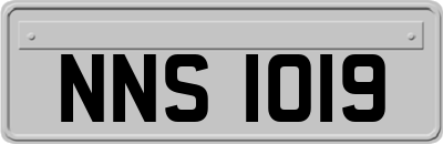 NNS1019