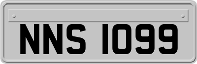 NNS1099