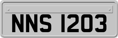NNS1203