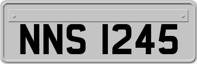 NNS1245