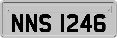 NNS1246