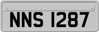 NNS1287