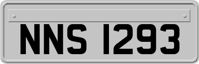 NNS1293