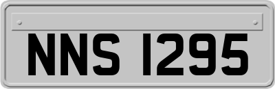NNS1295