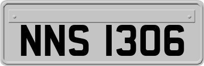 NNS1306