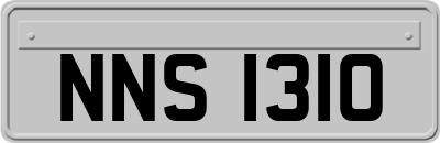 NNS1310