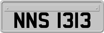 NNS1313