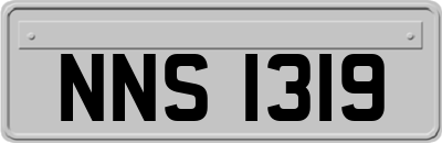 NNS1319