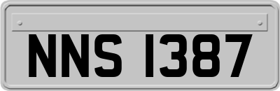 NNS1387