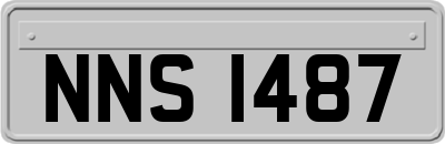 NNS1487