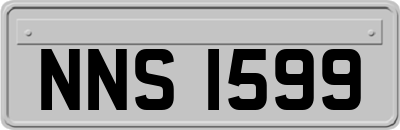 NNS1599