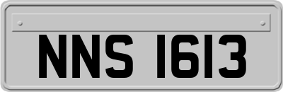 NNS1613