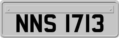 NNS1713