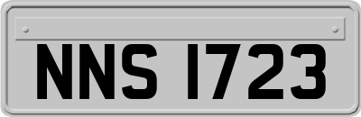 NNS1723
