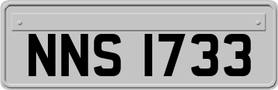 NNS1733