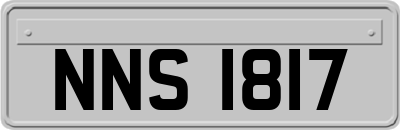 NNS1817