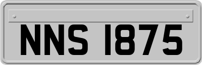 NNS1875