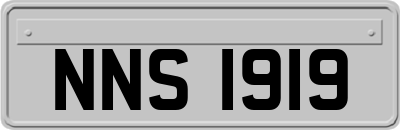 NNS1919