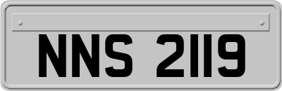 NNS2119