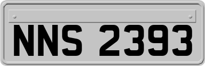 NNS2393