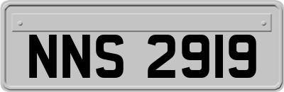 NNS2919