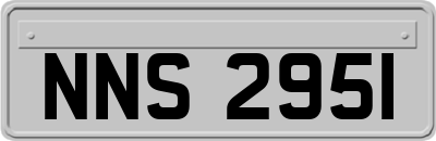 NNS2951