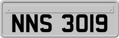 NNS3019