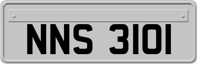 NNS3101