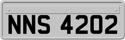 NNS4202