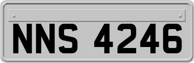 NNS4246