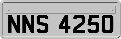 NNS4250