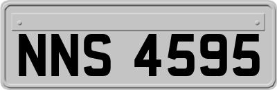NNS4595
