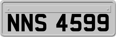 NNS4599