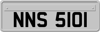 NNS5101
