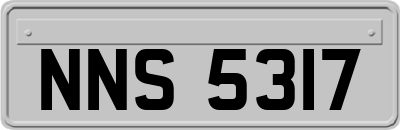 NNS5317