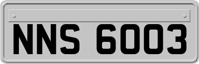 NNS6003