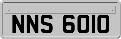 NNS6010