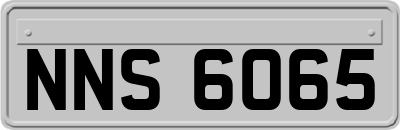 NNS6065