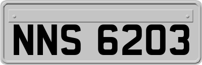 NNS6203